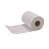 Fiber Glass Tissue Paper